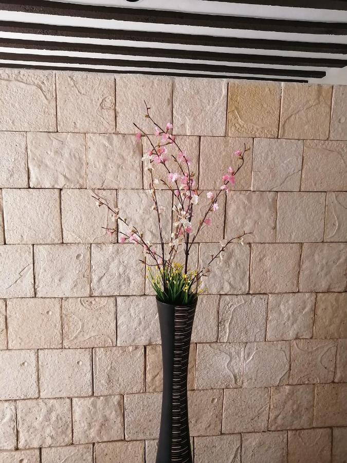 Casa Mama Bety Apartman Valladolid  Kültér fotó
